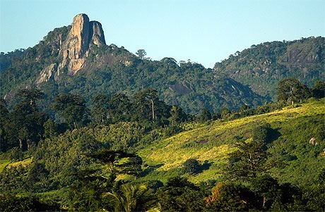 Cote D''Ivoire